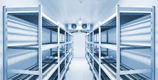 Essential Guide to Professional Cold Chain Storage Solutions