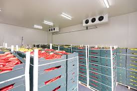 Preserving Freshness: The Critical Role of Chilled Storage in Modern Supply Chains